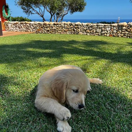 Tu Pequeno Paraiso Villa Calafell Kültér fotó