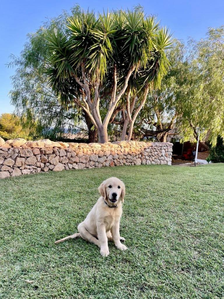 Tu Pequeno Paraiso Villa Calafell Kültér fotó