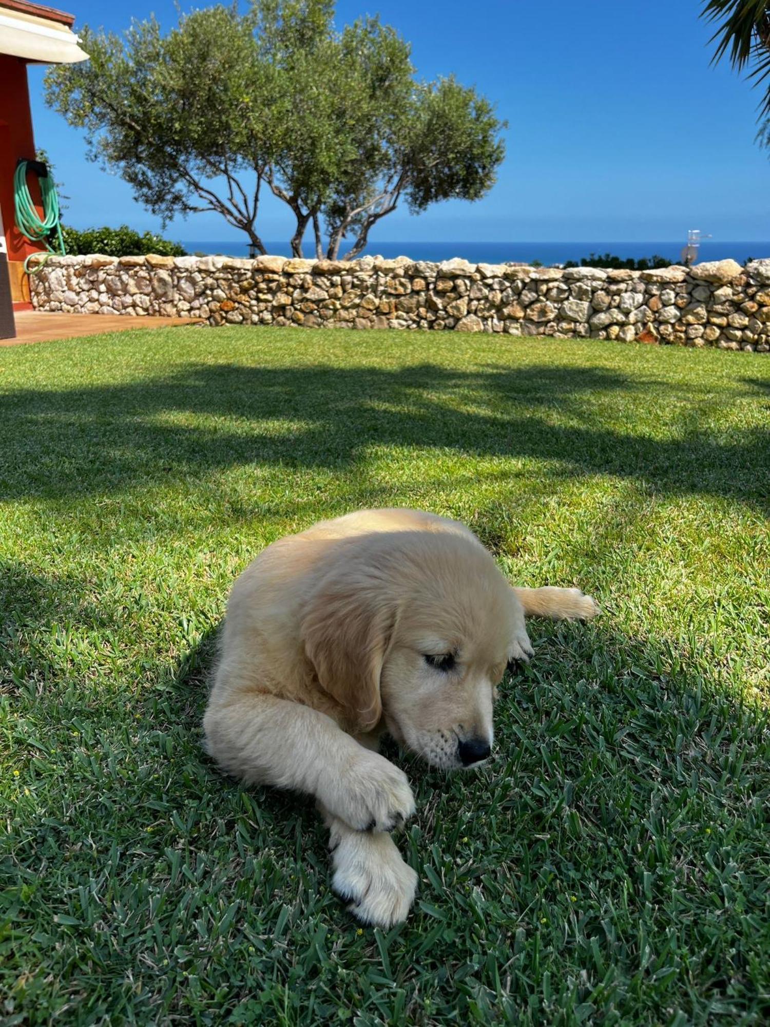 Tu Pequeno Paraiso Villa Calafell Kültér fotó